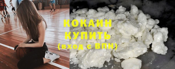 соль ск Алексин