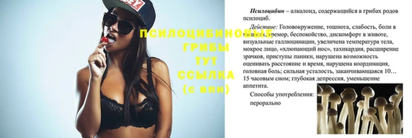 соль ск Алексин
