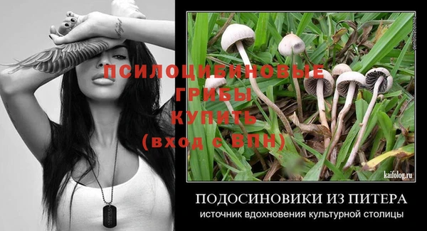 прущий лед Алексеевка