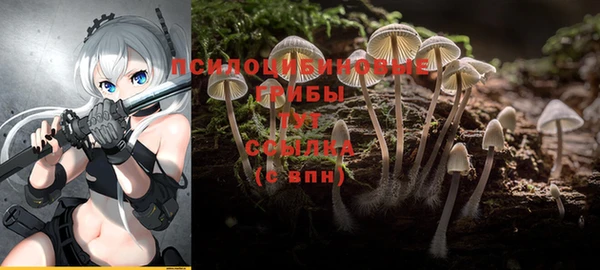 соль ск Алексин