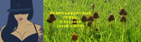 прущий лед Алексеевка